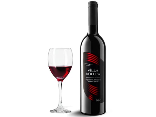 Villa Doluca